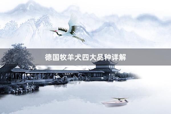 德国牧羊犬四大品种详解