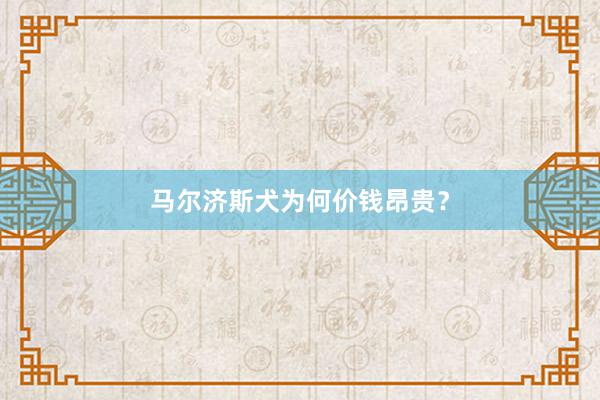 马尔济斯犬为何价钱昂贵？
